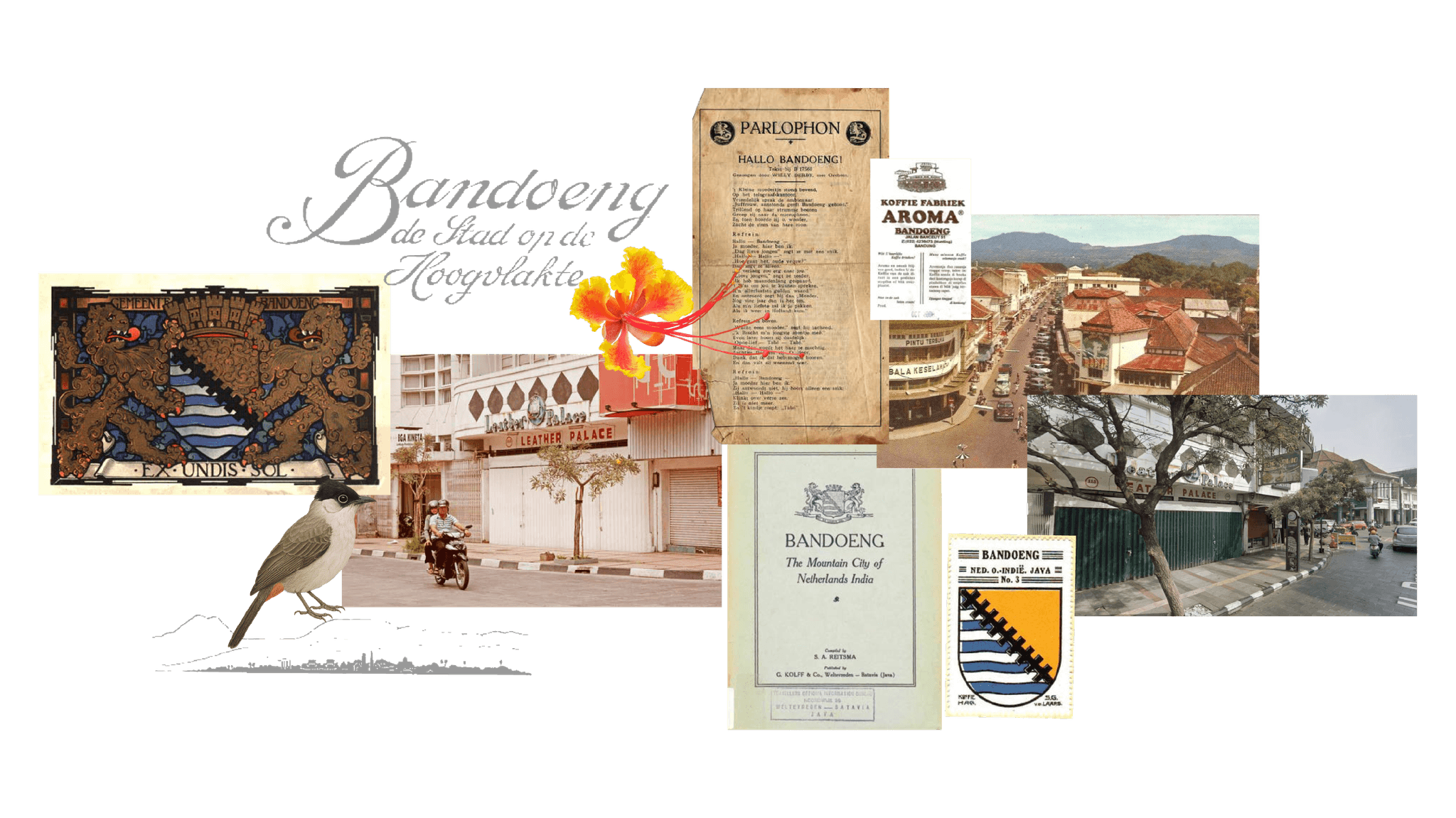 Project - Braga Bakkerij 02